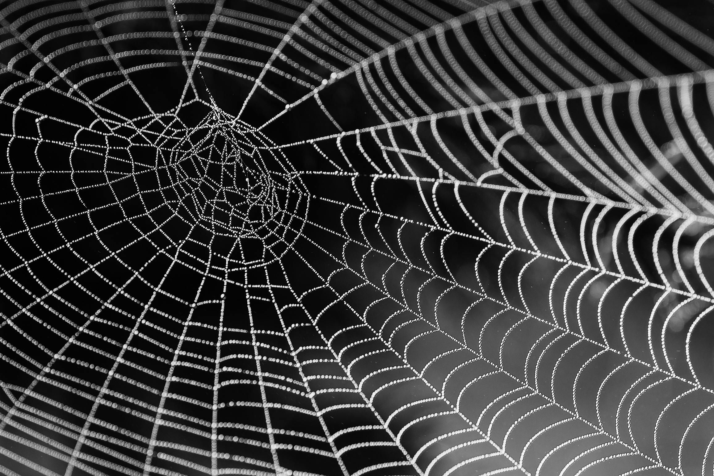 Why a Website is Essential in Today’s Business Landscape